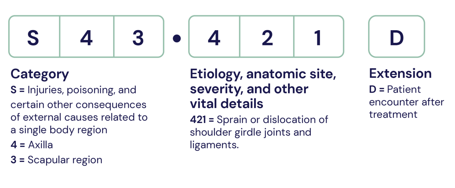 ICD10 for outpatient rehab therapy. Clinicient